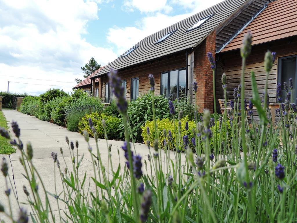 Elm Tree Farm Accommodation Milton Keynes Exterior foto